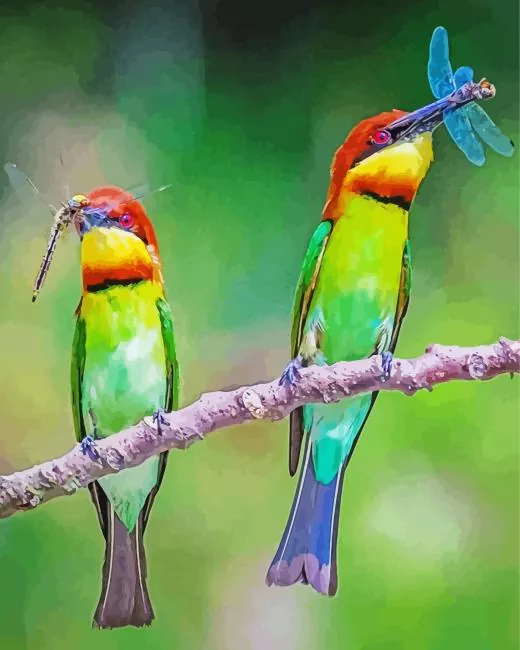 chestnut headed bee eater birds Diamond Paintings Chestnut Headed Bee Eater Birds 5D Diamond Painting