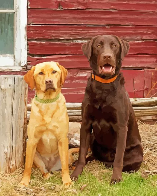 chocolate and yellow lab Diamond Dotz Chocolate And Yellow Lab 5D Diamond Painting