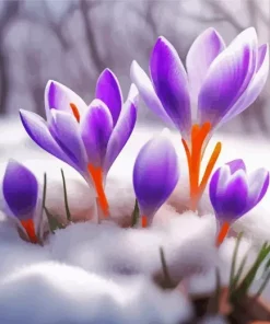 Purple Snow Crocus 5D Diamond Painting