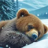 Sleepy Brown Bear Art 5D Diamond Painting